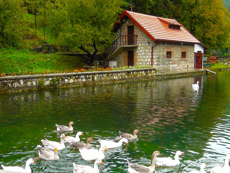 Park vodice 3