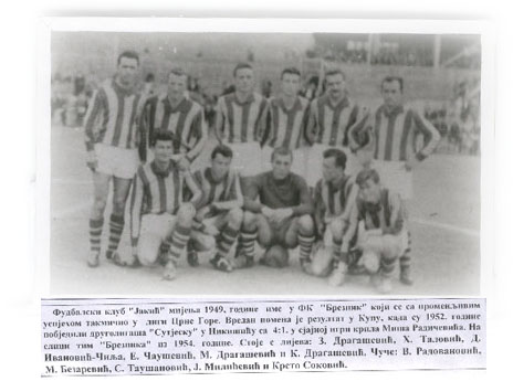 BREZNIK copy