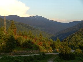 288px-Ljubisnja,_lesni_komplexy