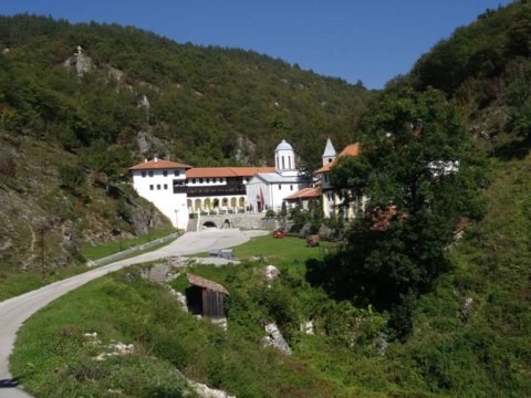 image006