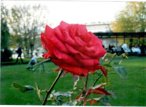 image008