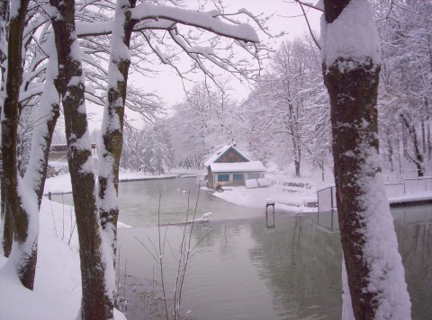 image013