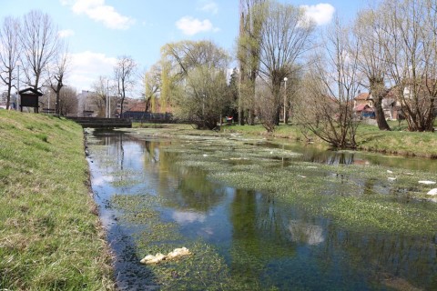 Zabokracina Breznica 4