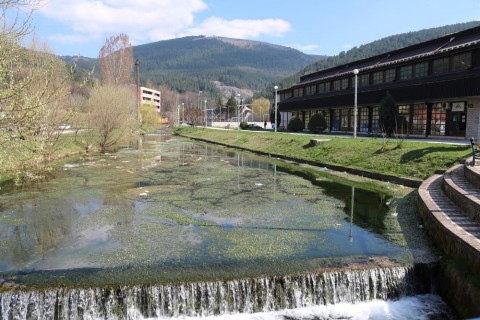 Zabokracina Breznica 5