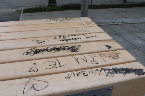 slika skracena 3