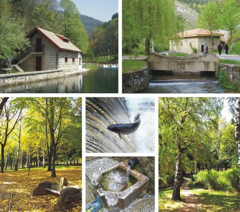 vodice_park