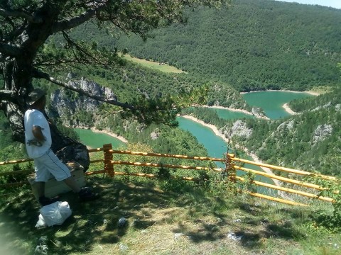 VIDIKOVAC MEANDRI CEHOTINA 2