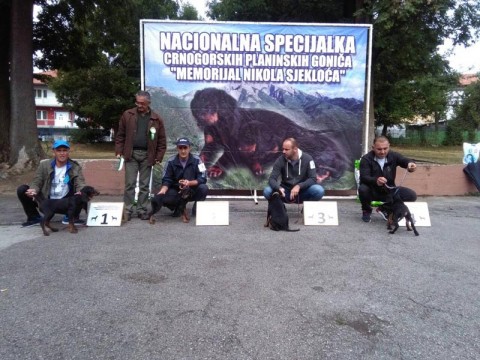 pobjednik2