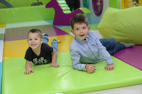 ZUJALICE IGRONICA (14)