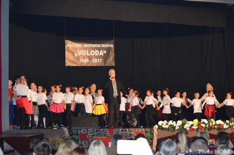 Volodja godisnji koncert 2017 (12)