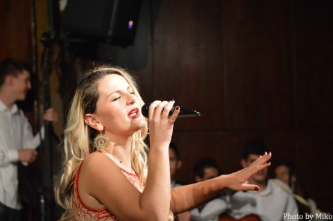 Volodja godisnji koncert 2017 (6)