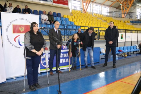 Turnir u sjedecoj odbojci 81