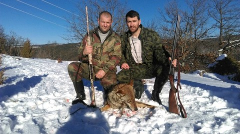 Hajka na vuka Pljevlja Crna Gora (1)