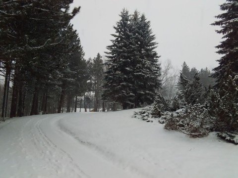 Stražica foto 1
