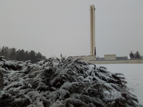 Stražica foto 13