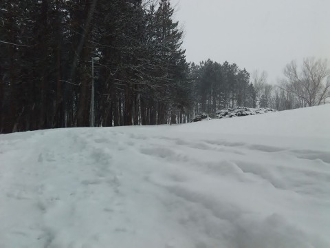 Stražica foto 133