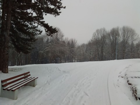 Stražica foto 16