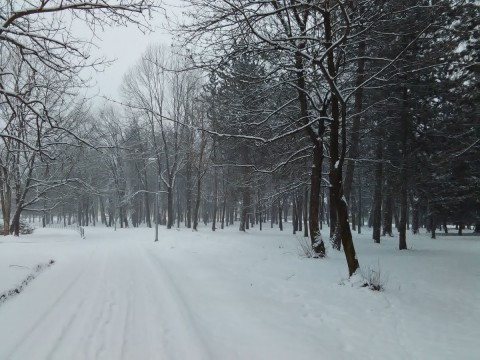 Stražica foto 199