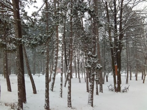 Stražica foto 331