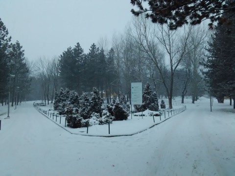 Stražica foto 456