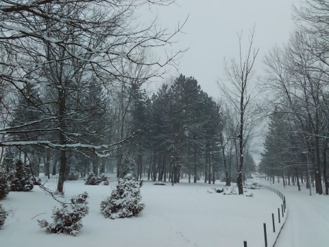 Stražica foto44