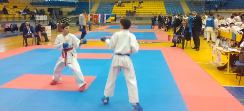 Pljevlja open 2018 karate