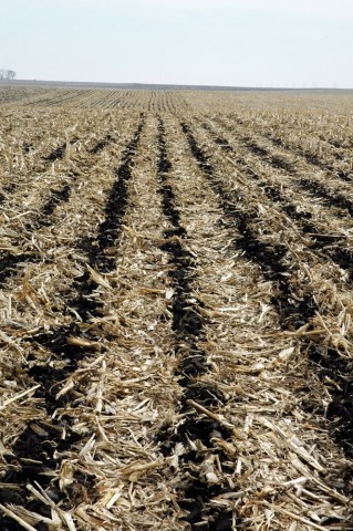 image001
