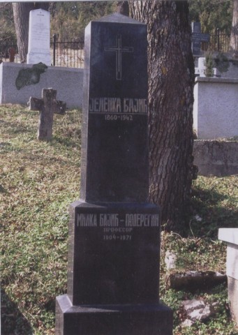 image007