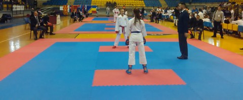 turnir pljevlja open 18