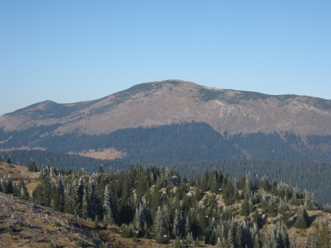 Ljubišnja