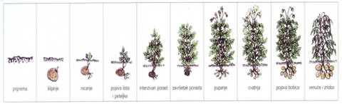 image001