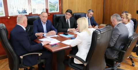 Simović