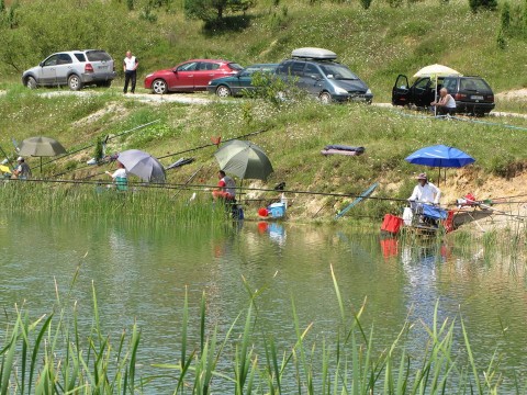 Borovicko jezero (3)