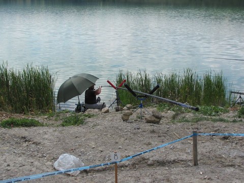 Borovicko jezero (4)