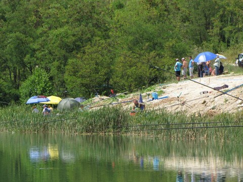 Borovicko jezero (5)