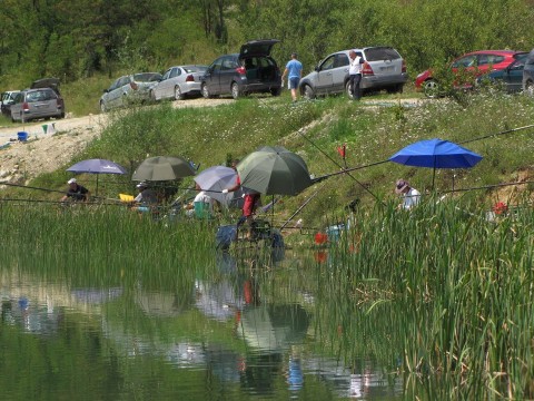Borovicko jezero (7)