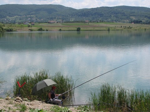 Borovicko jezero (8)