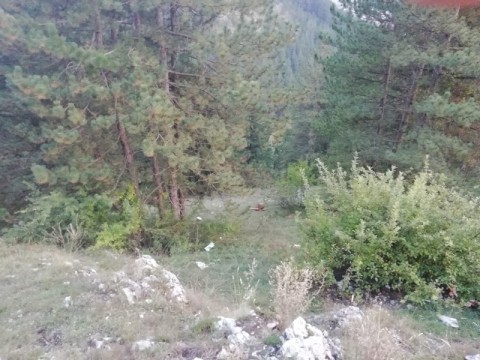 IMG_20180915_183927