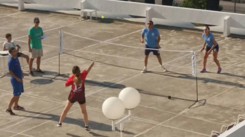 Opstinske sportske igre