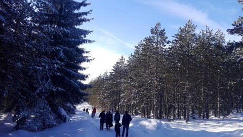 RUDNIUCA 27 JANUAR 19 GO