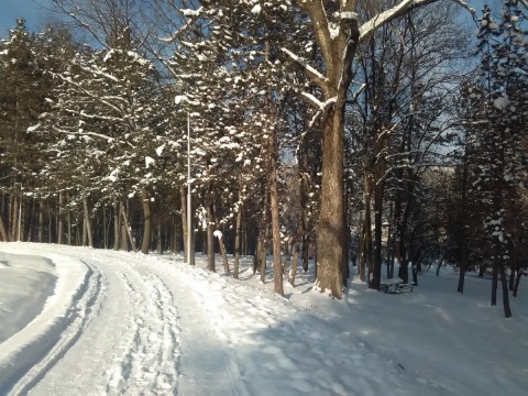 STRAŽICA 5.1 2019 0333