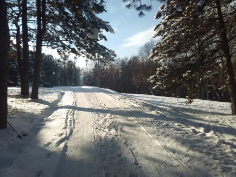 STRAŽICA 5.1 2019-1
