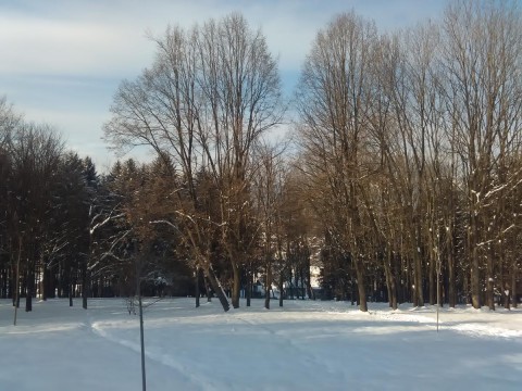 STRAŽICA 5.1 2019-4