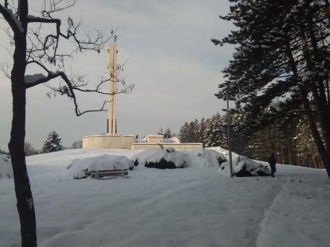 STRAŽICA 5.1 2019 44