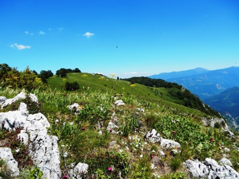 vuku-a-planina-nad-kanjonom-tare-u-daljini-ljubi-nja_orig