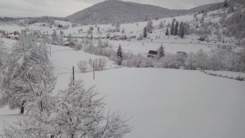 ODŽAK