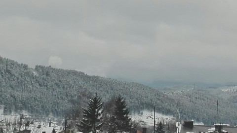 PLJEVLJA 12 MART 2019 (1)