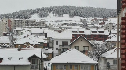 PLJEVLJA 12 MART 2019 (6)