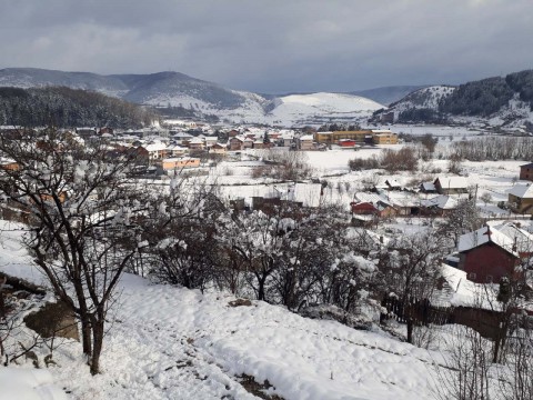 PLJEVLJA 12 MART