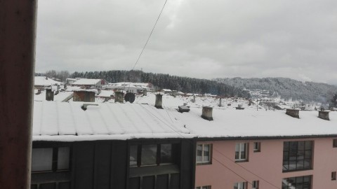 PLJEVLJA 12. MART 2019 (3)